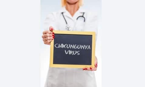 ਉਨ੍ਹਾਂ ਕਿਹਾ ਕਿ ਜਦੋਂ ਕਿ ਇਸਦਾ ਕੋਈ ਖਾਸ ਇਲਾਜ ਨਹੀਂ ਹੈ, ਲੋਕ ਅਕਸਰ ਐਂਟੀਬਾਇਓਟਿਕਸ ਲੈ ਕੇ ਘਰ ਵਿੱਚ ਇਸਦਾ ਇਲਾਜ ਕਰਨ ਦੀ ਕੋਸ਼ਿਸ਼ ਕਰਦੇ ਹਨ, ਜੋ ਕਿ ਗਲਤ ਅਤੇ ਖਤਰਨਾਕ ਹੈ। ਇਸ ਨਾਲ ਮਾਮਲਿਆਂ ਦੀ ਅਸਲ ਗਿਣਤੀ ਦਾ ਪਤਾ ਲਗਾਉਣਾ ਮੁਸ਼ਕਲ ਹੋ ਜਾਂਦਾ ਹੈ। ਉਨ੍ਹਾਂ ਦੱਸਿਆ ਕਿ ਇਹ ਬਿਮਾਰੀ ਇਸ ਸਮੇਂ ਮਾਨਸਾ ਅਤੇ ਸੁਨਾਮ ਖੇਤਰਾਂ ਵਿੱਚ ਜ਼ਿਆਦਾ ਫੈਲ ਰਹੀ ਹੈ। ਪਹਿਲਾਂ, ਇਹ ਬਿਮਾਰੀ ਦੱਖਣੀ ਭਾਰਤ ਵਿੱਚ ਜ਼ਿਆਦਾ ਪ੍ਰਚਲਿਤ ਸੀ, ਪਰ ਹੁਣ ਇਹ ਵਾਇਰਸ ਉੱਤਰੀ ਭਾਰਤ ਵਿੱਚ ਵੀ ਤੇਜ਼ੀ ਨਾਲ ਫੈਲ ਗਿਆ ਹੈ।