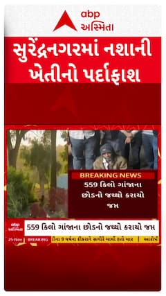 Surendranagar news: સુરેન્દ્રનગરમાં નશાની ખેતીનો પર્દાફાશ, રાજુ ખવડ નામના શખ્સની પોલીસે કરી ધરપકડ