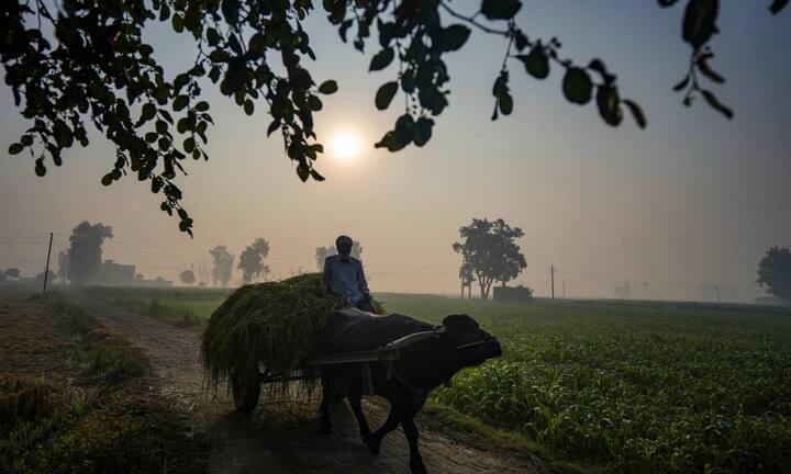 इसके अलावा तापमान जब 4 डिग्री या इससे नीचे आ जाए बादल न हो और अधिकतम तापमान में भी तेज गिरावट हो जाए तो शीत लहर की संभावना बढ़ जाती है.