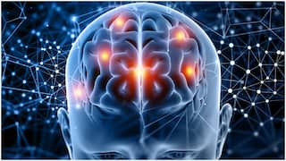 મોંઘા સપ્લીમેન્ટ્સ ભૂલી જાવ! મગજ અને યાદશક્તિ માટે મગફળી બની શકે છે નવી 'મેજિક પિલ'