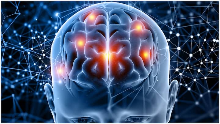 Health Routine for Better Brain : నిపుణుల అభిప్రాయం ప్రకారం.. మెదడును ఆరోగ్యంగా ఉంచుకోవడానికి కొన్ని దినచర్యలు ఫాలో అవ్వాలని చెప్తున్నారు. అవేంటో చూసేద్దాం.