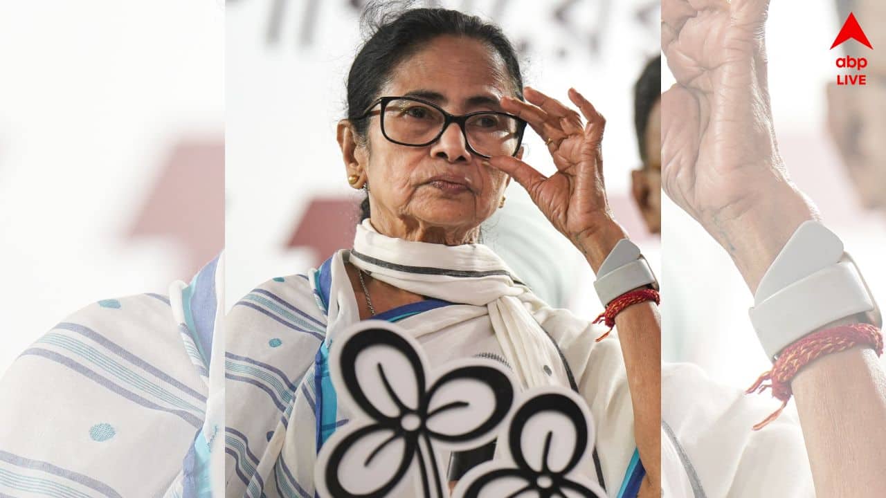 Mamata Banerjee : 'আমায় আঘাত করলে সারা ভারত হেলিয়ে দেব', হুঙ্কার মমতার ; বললেন, 'ভোটের পর দেশটা চষে বেড়াব'