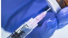 Virus Spreading in Punjab: ਪੰਜਾਬ 'ਚ ਖ਼ਤਰਨਾਕ ਵਾਇਰਸ ਨੇ ਮਚਾਇਆ ਹਾਹਾਕਾਰ, ਲੋਕਾਂ ਦੀ ਜ਼ਿੰਦਗੀ ਉੱਪਰ ਪੈ ਰਿਹਾ ਬੁਰਾ ਅਸਰ; ਜਾਣੋ ਕਿਵੇਂ ਬਣ ਰਹੇ ਸ਼ਿਕਾਰ...?