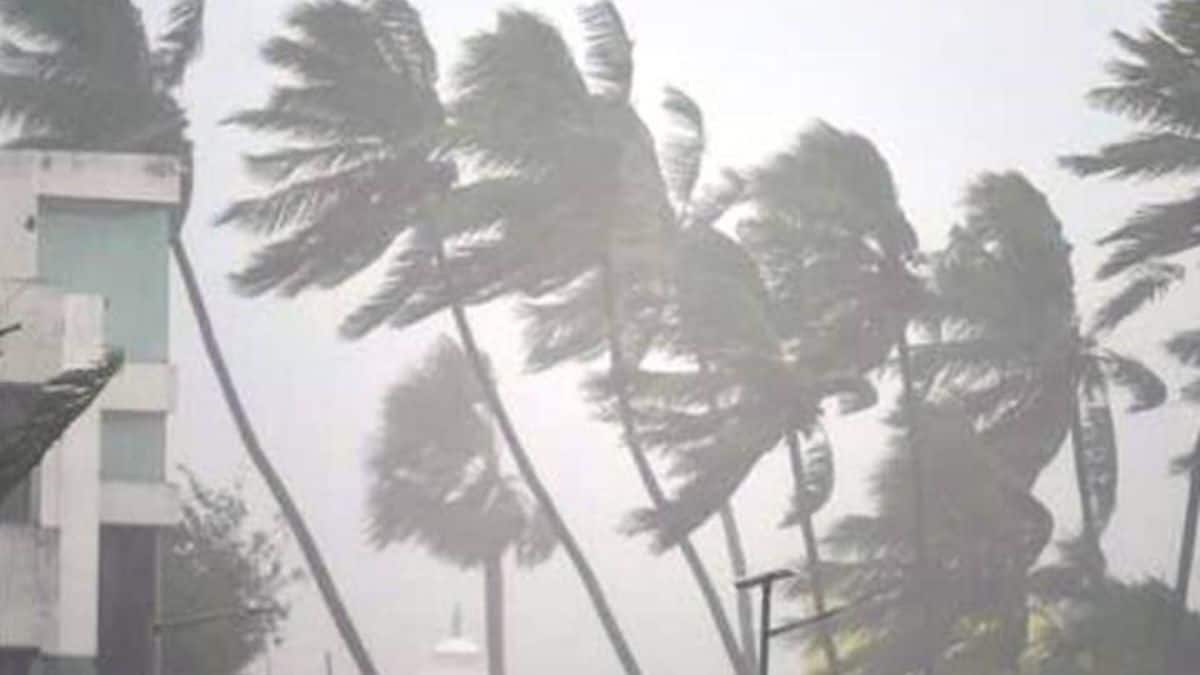 TN Weather Update: இன்று உருவாகிறது சென்யார் புயல் - எங்கெல்லாம் கனமழை வெளுக்கும்? தமிழக வானிலை அறிக்கை