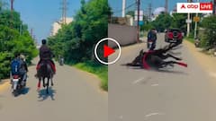 मैन रोड पर घुड़सवारी से धर्राटे काट रहा था शख्स, बाइक से टकराकर घोड़ा समेत गिरा- वीडियो वायरल