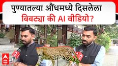 Pune Bibtya News Mangesh Tate : पुण्यातल्या औंधमध्ये दिसलेला बिबट्या की AI वीडियो?
