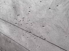 ਪੰਜਾਬ ਦੇ ਥਾਣੇ ਦੇ ਬਾਹਰ ਹੋਇਆ ਧਮਾਕਾ, ਲੋਕਾਂ 'ਚ ਮੱਚੀ ਹਫੜਾ-ਦਫੜੀ; ਸਹਿਮ ਦਾ ਮਾਹੌਲ