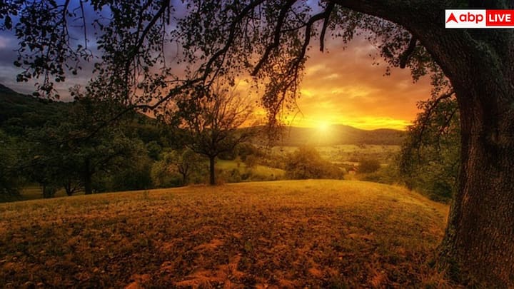 कितनी देर धूप में रहना चाहिए, इसका एक ही जवाब सभी पर लागू नहीं होता. त्वचा का रंग, मौसम, जगह, उम्र, इन सब पर निर्भर करता है. कई एक्सपर्ट के मुताबिक हफ्ते में कुछ बार 5 से 30 मिनट तक चेहरे, हाथों या पैरों पर धूप पड़ना काफी होता है, जबकि गहरी त्वचा और बुजुर्गों को ज्यादा समय की जरूरत होती है.