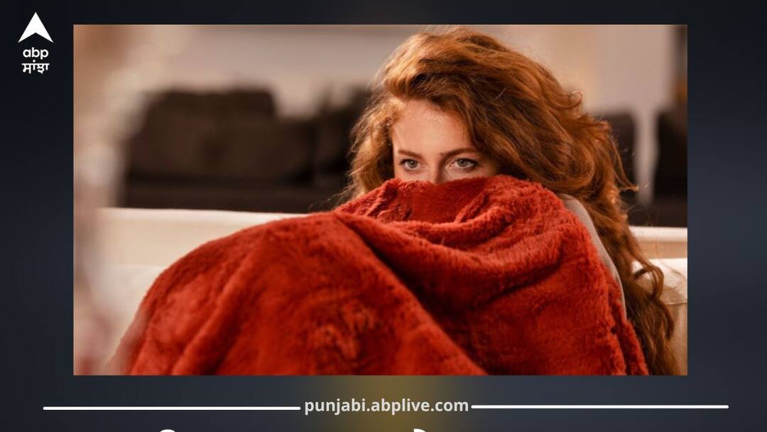 Blanket Still Smells Damp After Washing? Do These 3 Things in Sunlight to Make It Like New ਧੋਣ ਤੋਂ ਬਾਅਦ ਵੀ ਕੰਬਲ ‘ਚੋਂ ਆ ਰਹੀ ਸੀਲਨ ਦੀ ਬੂ? ਧੁੱਪ ‘ਚ ਸੁਕਾਉਣ ਤੋਂ ਬਾਅਦ ਕਰੋ ਇਹ 3 ਕੰਮ...ਨਵੇਂ ਵਰਗੇ ਹੋ ਜਾਣਗੇ