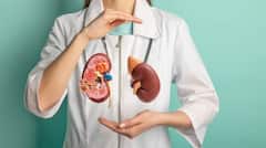 Kidney Failure: ਕਿਡਨੀ ਲਈ ਵੱਡਾ ਖਤਰਾ ਇਹ 3 ਚੀਜ਼ਾਂ, ਜਾਣੋ ਕਿਵੇਂ ਮੌਤ ਨੂੰ ਦਿੰਦੇ ਬੁਲਾਵਾ; ਇੰਝ ਫੇਲ੍ਹ ਹੁੰਦੀ Kidney...