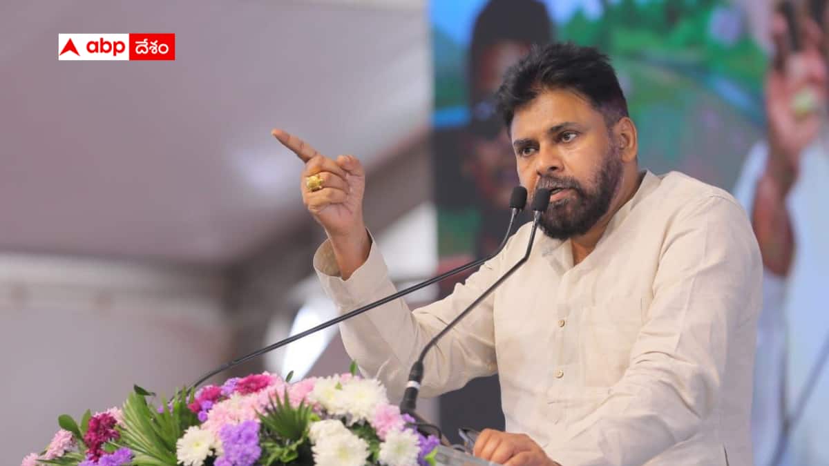 Pawan Kalyan Palle Panduga: గ్రామలకు పల్లెపండుగ 2.0 తీసుకొచ్చిన పవన్ - రూ. 6787 కోట్లతో అభివృద్ధి పనులకు శ్రీకారం