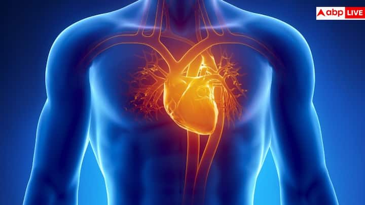 हार्ट रेट और रिद्म पर नजर रखना भी उतना ही महत्वपूर्ण है. अनियमित धड़कन, बहुत तेज या बहुत धीमी हार्ट रेट आर्टरीज में बदलाव या हार्ट पर तनाव का शुरुआती संकेत हो सकता है.