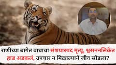 राणीच्या बागेत वाघाचा संशयास्पद मृत्यू, श्वसननलिकेत हाड अडकलं, उपचार न मिळाल्याने जीव सोडला?