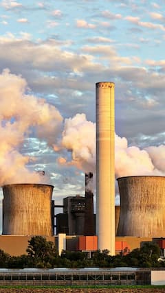 ये चीजें शुरू कर दें खाना, कुछ नहीं बिगाड़ पाएगा दिल्ली का प्रदूषण