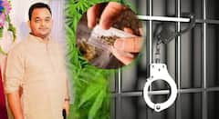 नागपूरच्या काटोलमध्ये 34 किलो गांजा जप्त, भाजप युवा मोर्चाच्या तालुका अध्यक्षाला अटक, राजकीय वर्तुळात खळबळ