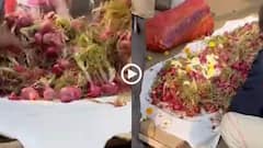 Video: प्याज की अर्थी सजाई, बैंड-बाजे के साथ निकाली शवयात्रा, गिरते दामों पर किसानों का छलका दर्द