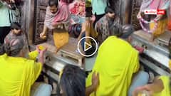 Video: प्रेमानंद महाराज को ऊपर से दिया प्रसाद, माला भी दूर से पहनाई, मंदिर के पंडित जी का वीडियो वायरल