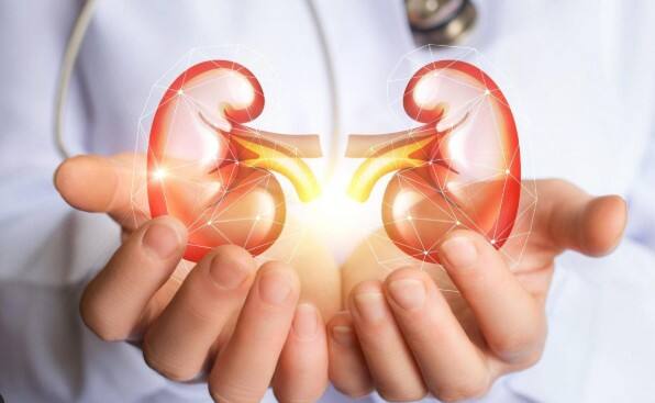 ਡੀਹਾਈਡਰੇਸ਼ਨ ਸਭ ਤੋਂ ਵੱਡਾ ਕਾਰਨ ਲੋਕ ਅਕਸਰ ਸਰਦੀਆਂ ਵਿੱਚ ਡੀਹਾਈਡਰੇਸ਼ਨ ਦਾ ਅਨੁਭਵ ਕਰਦੇ ਹਨ ਕਿਉਂਕਿ ਉਹਨਾਂ ਨੂੰ ਠੰਡ ਵਿੱਚ ਘੱਟ ਪਿਆਸ ਲੱਗਦੀ ਹੈ, ਅਤੇ ਉਹ ਘੱਟ ਪਾਣੀ ਪੀਂਦੇ ਹਨ। ਇਹ ਸਰੀਰ ਦੀਆਂ ਹਾਈਡਰੇਸ਼ਨ ਜ਼ਰੂਰਤਾਂ ਨੂੰ ਪੂਰਾ ਨਹੀਂ ਕਰਦਾ। ਇਹ ਪਿਸ਼ਾਬ ਨੂੰ ਵੀ ਗਾੜ੍ਹਾ ਕਰ ਦਿੰਦਾ ਹੈ, ਜਿਸ ਨਾਲ ਗੁਰਦੇ ਦੀ ਪੱਥਰੀ ਬਣਨ ਦਾ ਖ਼ਤਰਾ ਵੱਧ ਜਾਂਦਾ ਹੈ। ਕਿਉਂਕਿ ਘੱਟ ਪਾਣੀ ਪੀਣ ਨਾਲ ਪਿਸ਼ਾਬ ਸੰਘਣਾ ਹੋ ਜਾਂਦਾ ਹੈ, ਇਸ ਲਈ ਸੰਘਣੇ ਪਿਸ਼ਾਬ ਵਿੱਚ ਖਣਿਜ ਅਤੇ ਲੂਣ ਆਸਾਨੀ ਨਾਲ ਇਕੱਠੇ ਹੋ ਜਾਂਦੇ ਹਨ ਅਤੇ ਕ੍ਰਿਸਟਲ ਬਣ ਜਾਂਦੇ ਹਨ, ਜੋ ਅੰਤ ਵਿੱਚ ਪੱਥਰੀ ਬਣ ਜਾਂਦੇ ਹਨ। ਘਟੀ ਹੋਈ ਸਰੀਰਕ ਗਤੀਵਿਧੀ: ਇਸ ਤੋਂ ਇਲਾਵਾ, ਲੋਕ ਅਕਸਰ ਸਰਦੀਆਂ ਦੌਰਾਨ ਆਲਸ, ਕਸਰਤ ਘਟਾਉਣ ਅਤੇ ਤੁਰਨ ਅਤੇ ਲੰਬੇ ਸਮੇਂ ਲਈ ਇੱਕ ਜਗ੍ਹਾ ਬੈਠਣ ਕਾਰਨ ਘੱਟ ਸਰੀਰਕ ਗਤੀਵਿਧੀ ਵਿੱਚ ਰੁੱਝਦੇ ਹਨ। ਇਹ ਸਰੀਰ ਵਿੱਚ ਕੈਲਸ਼ੀਅਮ ਦੇ ਪੱਧਰ ਨੂੰ ਪ੍ਰਭਾਵਿਤ ਕਰਦਾ ਹੈ, ਜਿਸ ਨਾਲ ਗੁਰਦਿਆਂ ਵਿੱਚ ਕੈਲਸ਼ੀਅਮ ਇਕੱਠਾ ਹੁੰਦਾ ਹੈ।