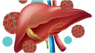 Daily Habits for Liver Health : హెపటైటిస్ తగ్గించే మార్గాలివే.. కాలేయ ఆరోగ్యాన్ని మెరుగుపరిచే రోజువారీ అలవాట్లు