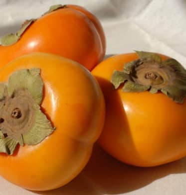 ਰਾਮਫਲ ਪੋਸ਼ਣ ਨਾਲ ਭਰਪੂਰ ਫਲ, ਜਾਣੋ ਇਸ ਦੇ ਸ਼ਾਨਦਾਰ ਫਾਇਦੇ