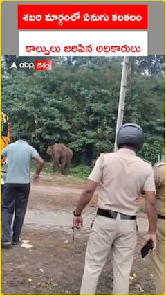 Elephant Attack at Nilakkal