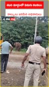 Elephant Attack at Nilakkal