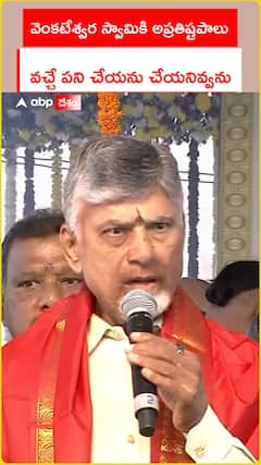 CM Chandrababu at Amaravati Venkateshwara Swami Temple