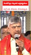 CM Chandrababu at Amaravati Venkateshwara Swami Temple