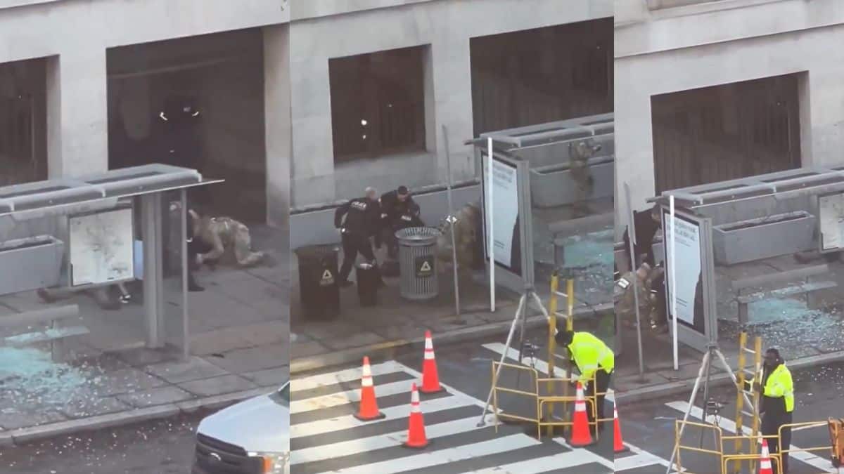 White House Gun Shoot: வெள்ளை மாளிகை துப்பாக்கிச்சூடு; ஆப்கானியர்களின் குடியேற்ற கோரிக்கைகளை நிறுத்தி வைத்த அமெரிக்கா