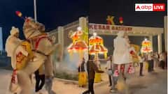 दो टांगों पर घोड़ा... बरात में दूल्हे के मुंह को आ गया कलेजा, वीडियो देख रोक नहीं पाएंगे हंसी