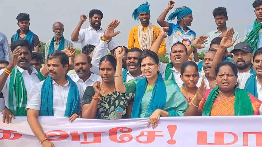 காவேரி கடைமடையை டெல்டா பகுதியாக அறிவிக்காவிட்டால் பாமக போராட்டம் - செளமியா அன்புமணி எச்சரிக்கை