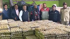 अंडे खाने वाले सावधान! आर्टिफिशियल कलर से हो रहे थे तैयार, फैक्ट्री सील