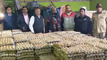 अंडे खाने वाले सावधान! आर्टिफिशियल कलर से हो रहे थे तैयार, फैक्ट्री सील