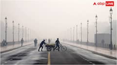 दिल्ली में पॉल्यूशन बढ़ने पर लगाए जाते हैं ग्रैप-1 से लेकर ग्रैप-4 तक, ऐसे में क्या करता है पाकिस्तान?