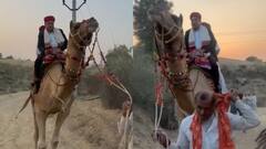 राजस्थान: बाड़मेर में SIR बना मिशन, ऊंट पर बैठकर वोटर्स को  ढूंढ रहे SDM और BLO