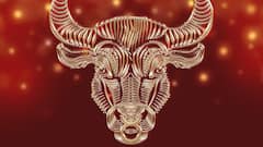 Astrology News: ২০২৬ আর্থিক স্বস্তি ও কেরিয়ারে উন্নতির বছর, জ্যোতিষ শাস্ত্রের বিরল ঘটনায় ৫ রাশির ভাগ্য মুড়বে সোনায়