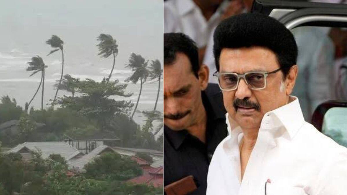 ராட்சசன் "டிட்வா" புயல் வருது... உடனே களத்தில் இறங்குங்க- திமுகவினருக்கு ஸ்டாலின் அதிரடி உத்தரவு