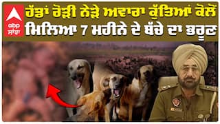 Fatehgarh Sahib News | ਹੱਡਾਂ ਰੋੜੀ ਨੇੜੇ ਅਵਾਰਾ ਕੁੱਤਿਆਂ ਕੋਲੋਂ ਮਿਲਿਆ 7 ਮਹੀਨੇ ਦੇ ਬੱਚੇ ਦਾ ਭਰੂਣ |Abp Sanjha