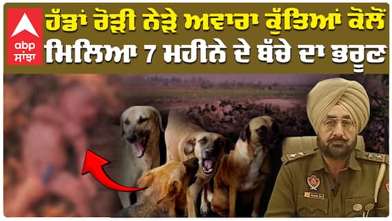 Fatehgarh Sahib News | ਹੱਡਾਂ ਰੋੜੀ ਨੇੜੇ ਅਵਾਰਾ ਕੁੱਤਿਆਂ ਕੋਲੋਂ ਮਿਲਿਆ 7 ਮਹੀਨੇ ਦੇ ਬੱਚੇ ਦਾ ਭਰੂਣ |Abp Sanjha