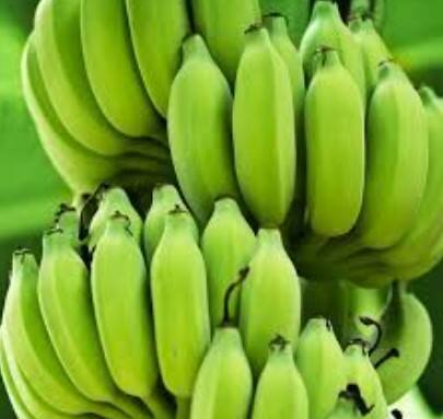 ਕੱਚੇ ਕੇਲੇ – ਪਾਚਣ ਮਜ਼ਬੂਤ ਤੇ ਸਿਹਤ ਲਈ ਫ਼ਾਇਦੇਮੰਦ ਸੁਪਰਫੂਡ
