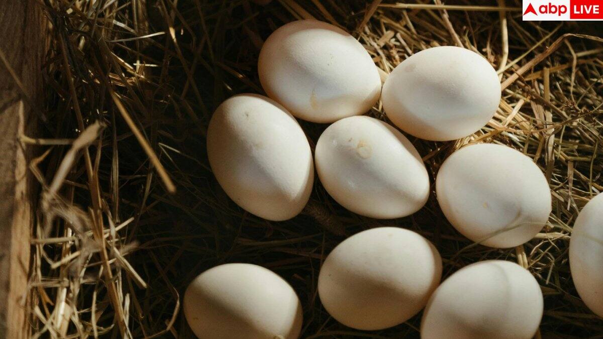 Fake Eggs: बाजार से कहीं आप भी तो नहीं ला रहे नकली अंडा, सिंदूर से बदला जा रहा रंग; ऐसे करें पहचान