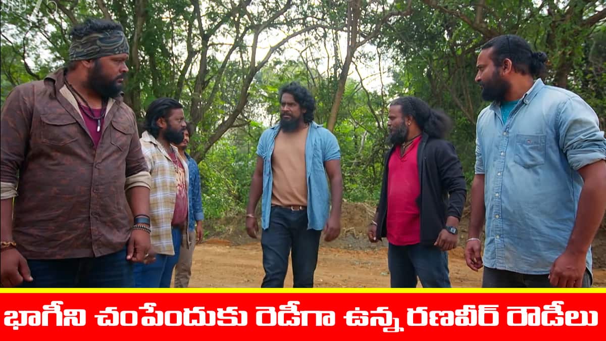 Nindu Noorella Saavasam Serial Today November 28th: ‘నిండు నూరేళ్ల సావాసం’ సీరియల్‌: భాగీని చంపేందుకు కిరాయి రౌడీలను పెట్టిన రణవీర్‌ - విషయం తెలిసి షాక్ అయిన అమర్‌