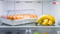 Fridge Storage Mistakes: ફ્રિજમાં ક્યારેય ન રાખવી જોઈએ આવી વસ્તુઓ, બની શકે છે ઝેર જેવી