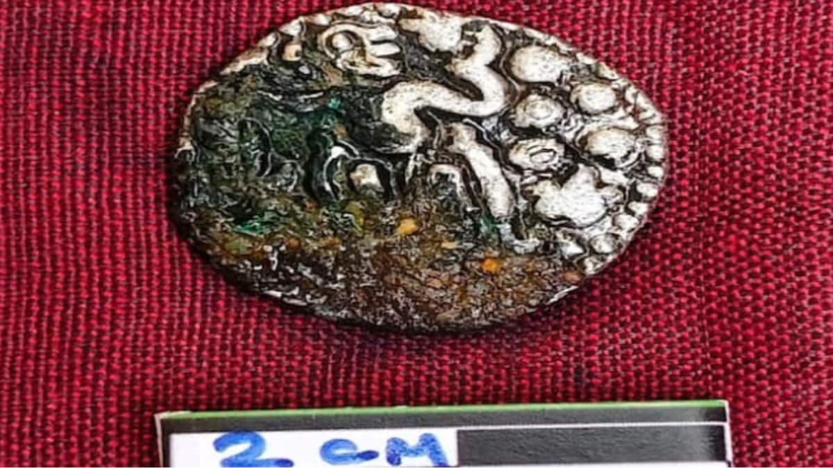 Silver Coin From Rajaraja Chola Era Discovered In Thenpennai River Near TN's Cuddalore