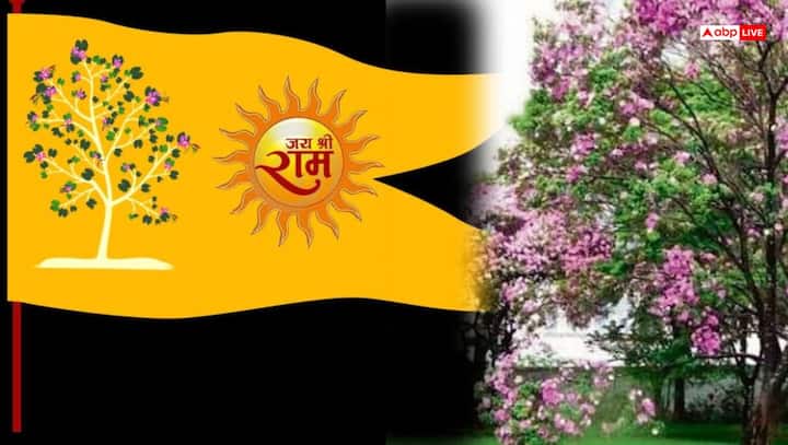 पौराणिक कथाओं के अनुसार, त्रेता युग में अयोध्या का राज-चिन्ह भी कोविदार वृक्ष था. हाल ही में अयोध्या में राम मंदिर के शिखर पर जो केसरिया ध्वज फहराया गया है उस पर ॐ और सूर्य के चिन्ह के साथ-साथ कोविदार वृक्ष का चित्र भी अंकित है.