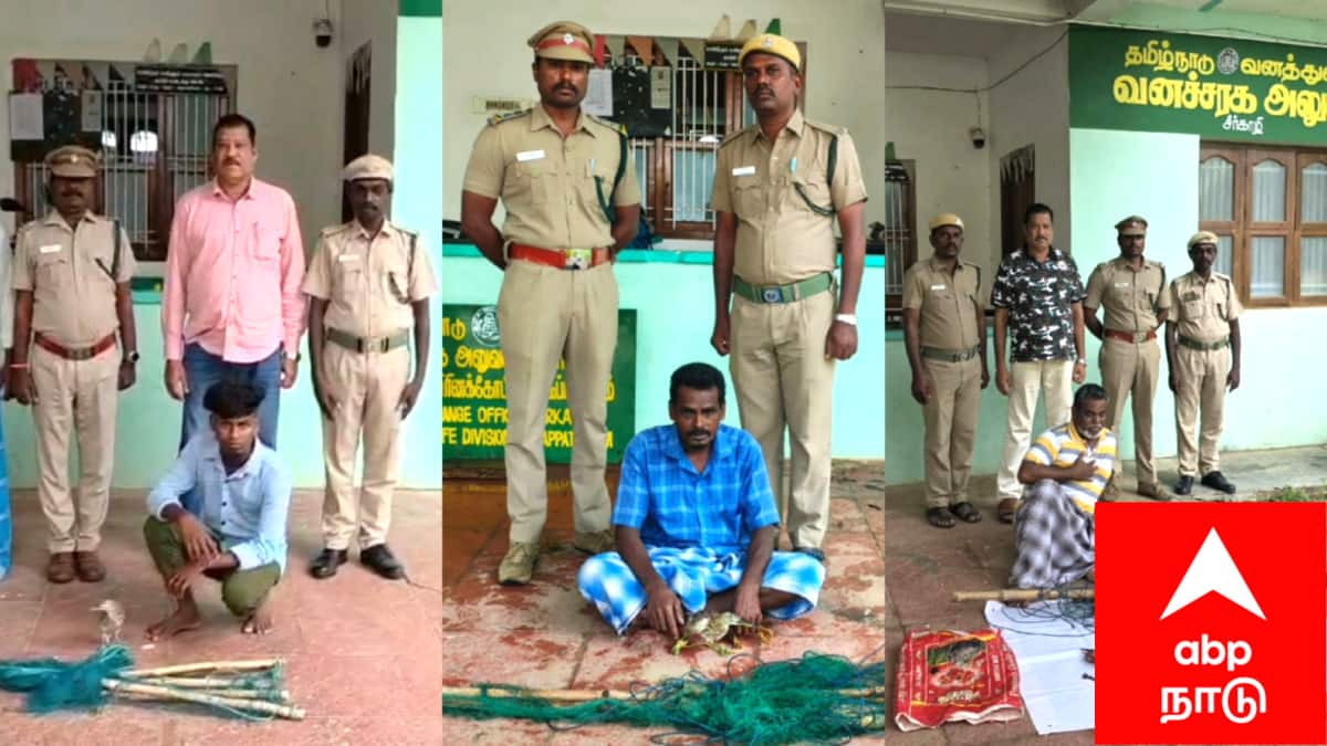 மயிலாடுதுறை: மடையான் பறவைகள் வேட்டை! மூன்று பேரை கைது செய்து வனத்துறை அதிரடி நடவடிக்கை, ரூ.75,000 அபராதம் - கடும் எச்சரிக்கை!