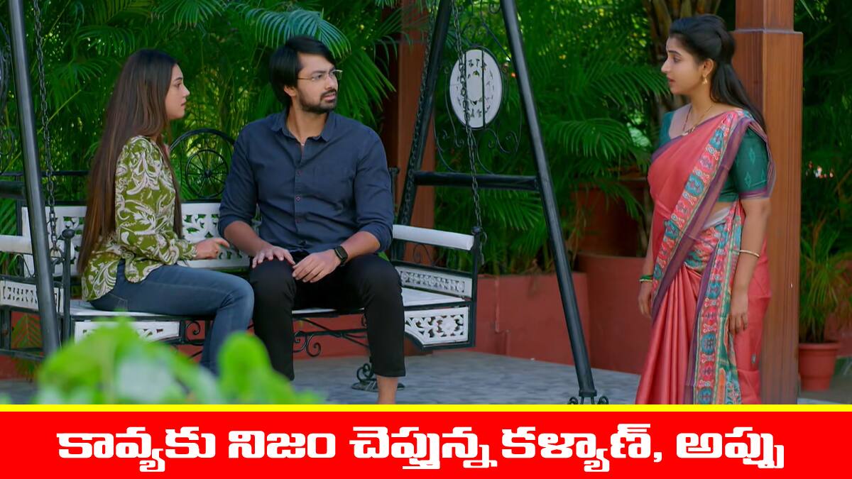 Brahmamudi Serial Today November 28th: ‘బ్రహ్మముడి’ సీరియల్: రాజ్‌ను తిట్టిన కావ్య – అప్పుకు భరోసా ఇచ్చిన రాజ్‌