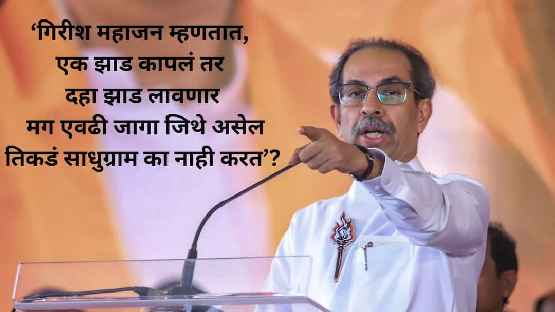 uddhav Thackeray slams bjp for cutting trees in tapovan for sadhugram nashik Uddhav Thackeray:हा हिंदुत्वाच्या नावाखाली चाललेला भ्रष्टाचार! झाडांच्या कत्तली करून प्रभू रामचंद्रांच्या परस्पर्शाने पुनीत झालेलं तपोवन तुम्ही कोणासाठी मारता आहात? उद्धव ठाकरेंचा हल्लाबोल