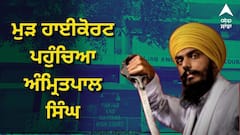 ਪੰਜਾਬ ਸਰਕਾਰ ਦੇ ਪੈਰੋਲ ਨਾ ਦੇਣ ਦੇ ਫੈਸਲੇ ਨੂੰ ਅੰਮ੍ਰਿਤਪਾਲ ਸਿੰਘ ਨੇ ਹਾਈਕੋਰਟ 'ਚ ਦਿੱਤੀ ਚੁਣੌਤੀ, ਕਾਨੂੰਨ ਵਿਵਸਥਾ ਵਿਗੜਨ ਦਾ ਦਿੱਤਾ ਸੀ ਹਵਾਲਾ