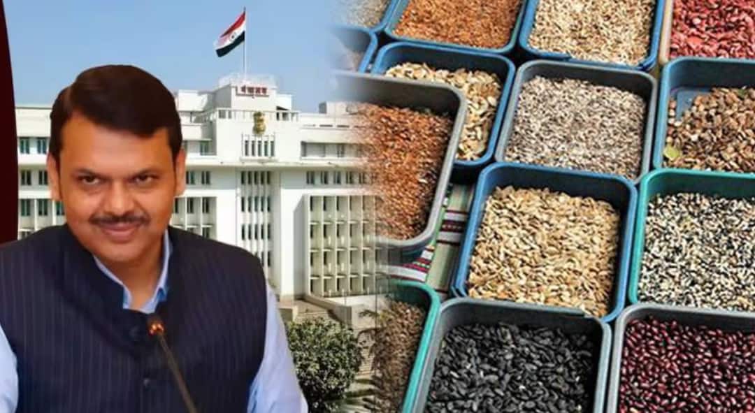 pm modi PM Dhan Dhaanya Yojana and Self Reliance in Pulses Mission approval to implement in maharashtra Government Decision Government Decision : मोठी बातमी! केंद्र सरकारचे 'कडधान्य आत्मनिर्भरता अभियान' राज्यात राबविण्यास मंजुरी; फडणवीस सरकारचा मोठा निर्णय